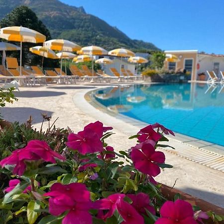 Hotel Parco Delle Agavi Forio di Ischia Exterior foto