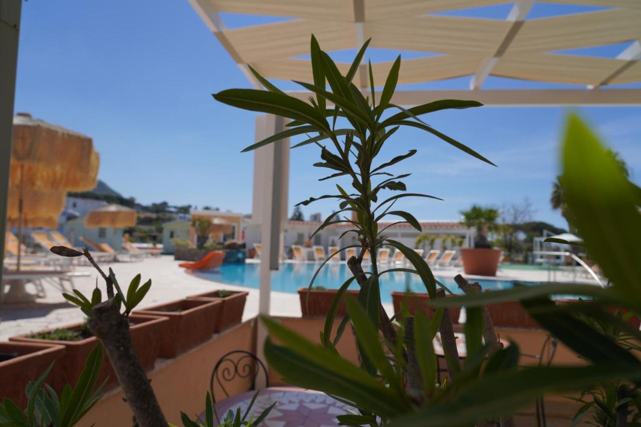 Hotel Parco Delle Agavi Forio di Ischia Exterior foto
